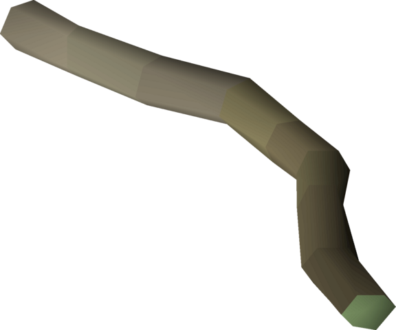 File:Celastrus bark.png