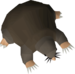 No-pet-debt.png